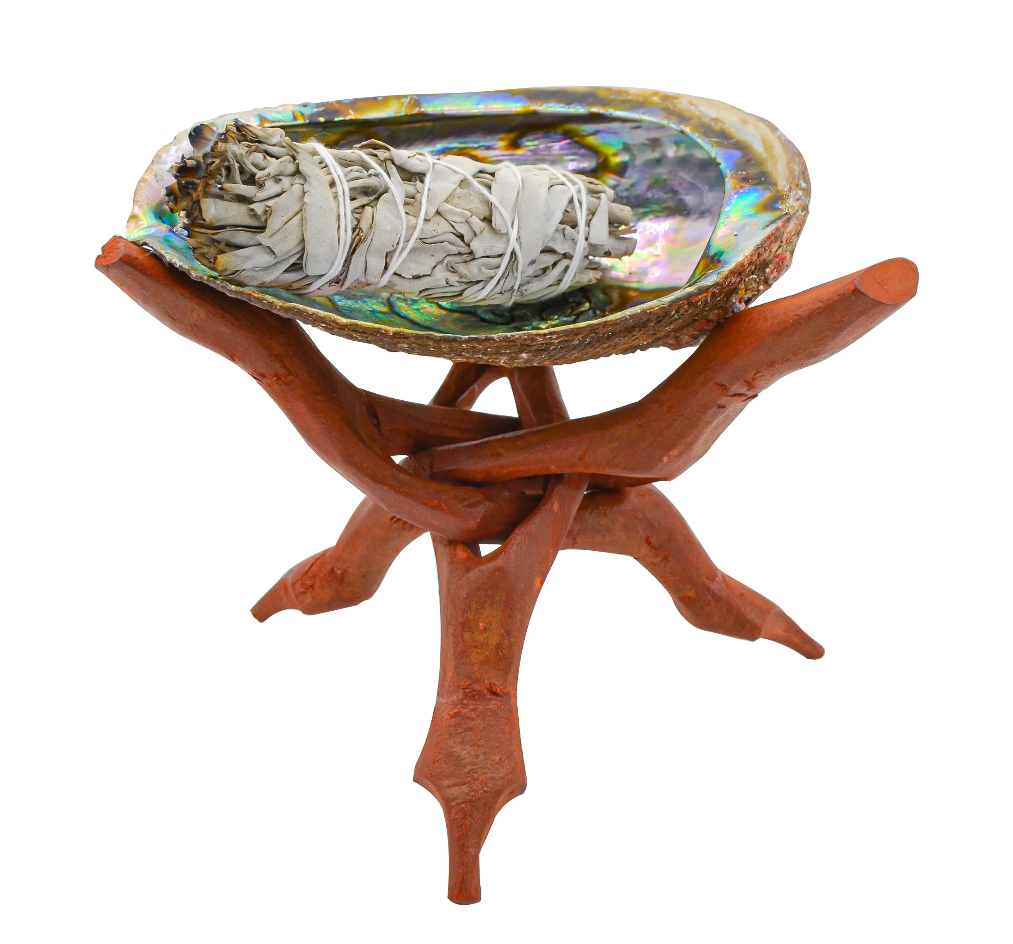 Abalone Shell & Folding Carved Wooden Stand Combo