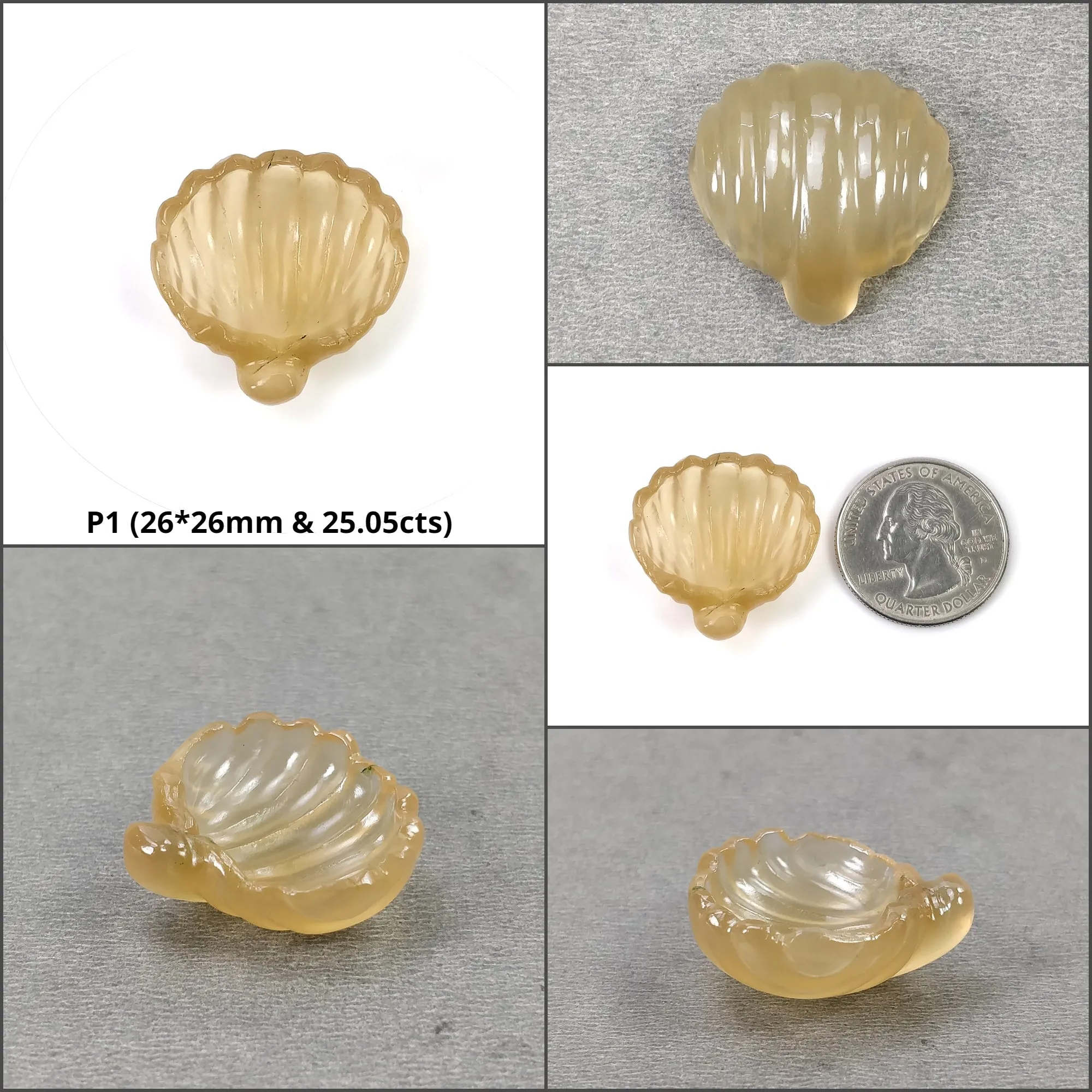 Agate Gemstone Carving : Natural Untreated Unheated Orange Agate Hand Carved SEA SHELL