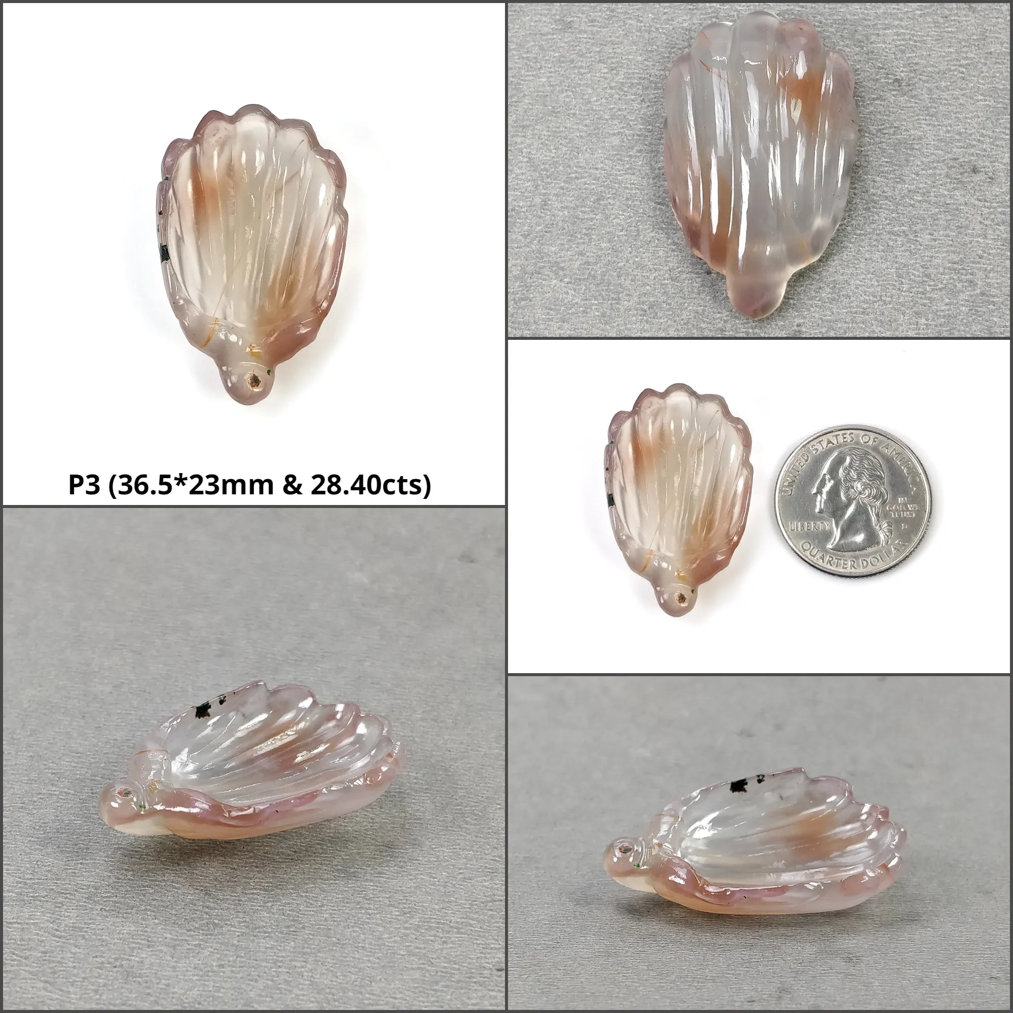 Agate Gemstone Carving : Natural Untreated Unheated Orange Agate Hand Carved SEA SHELL