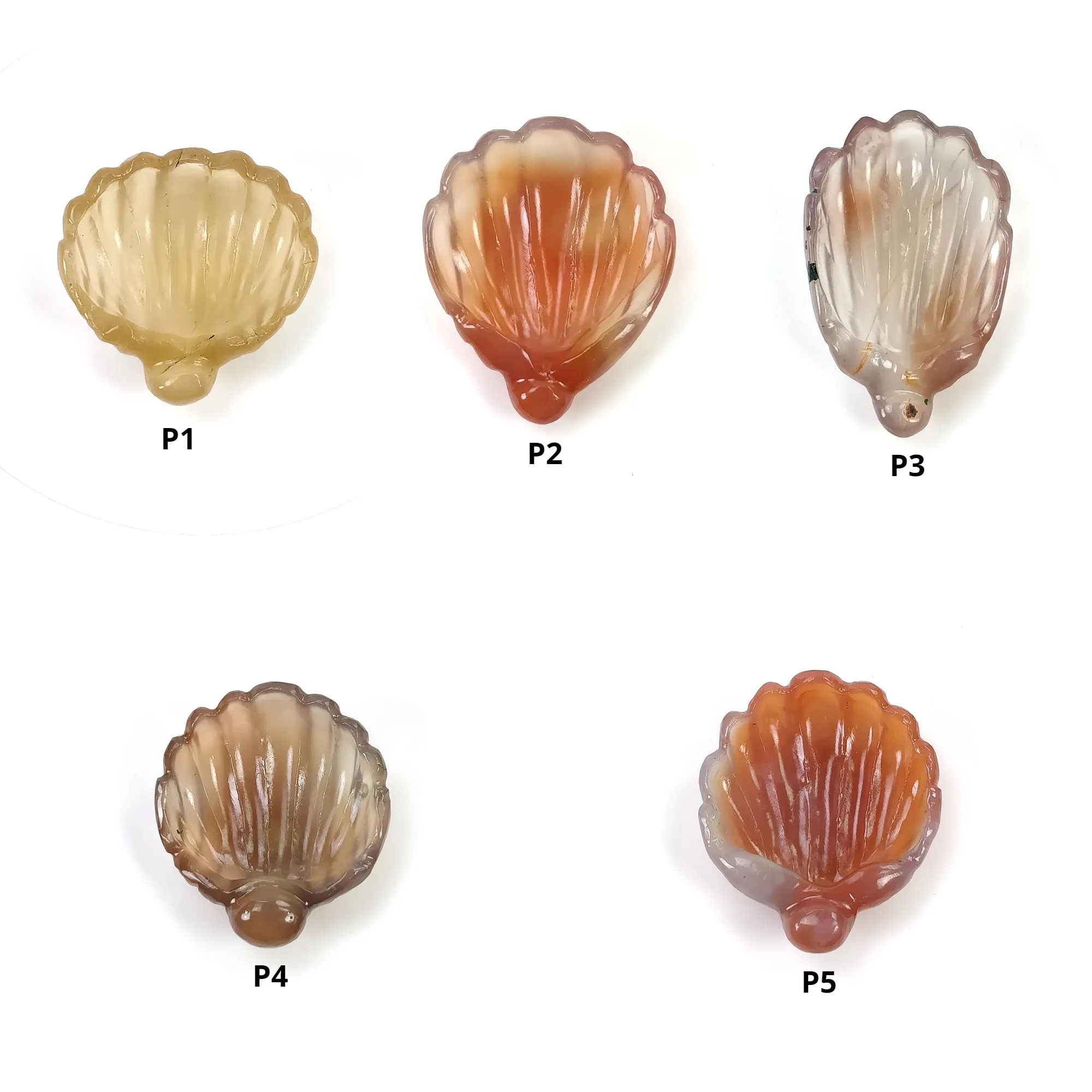 Agate Gemstone Carving : Natural Untreated Unheated Orange Agate Hand Carved SEA SHELL