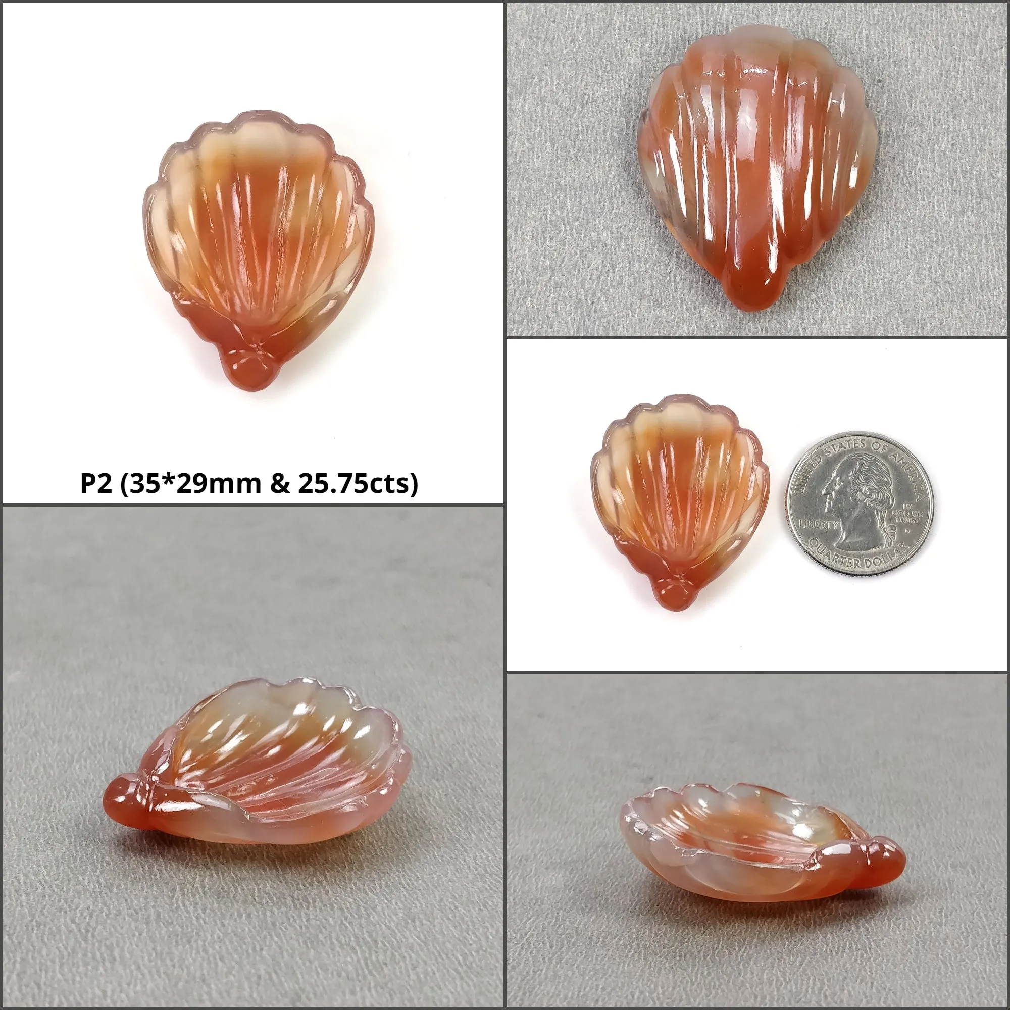 Agate Gemstone Carving : Natural Untreated Unheated Orange Agate Hand Carved SEA SHELL