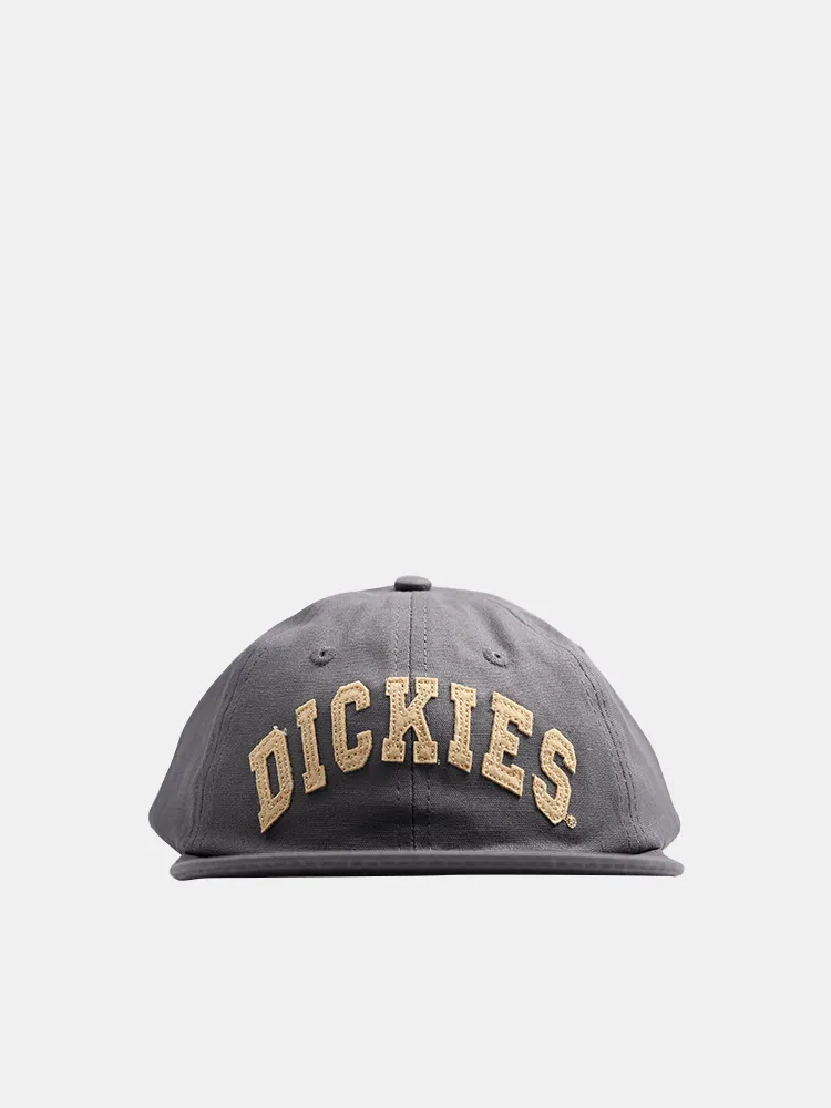 Dickies Princeton 6 Panel Cap - Charcoal