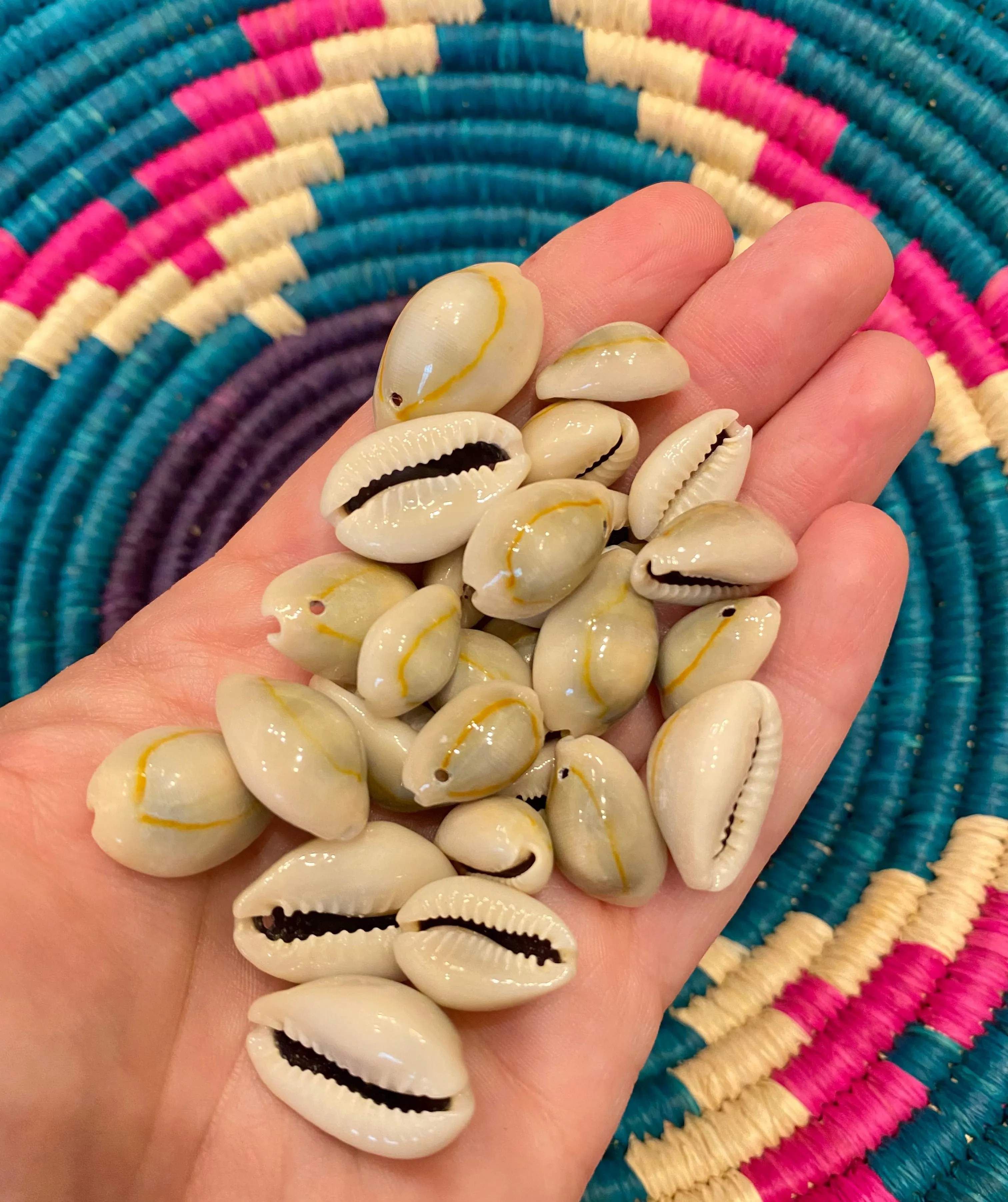 Drilled Natural Grey Cowrie with Orange Circle