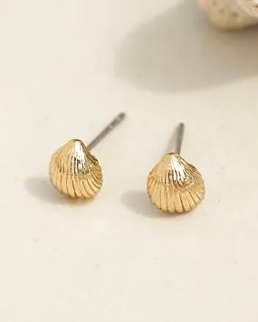 Shell Studs