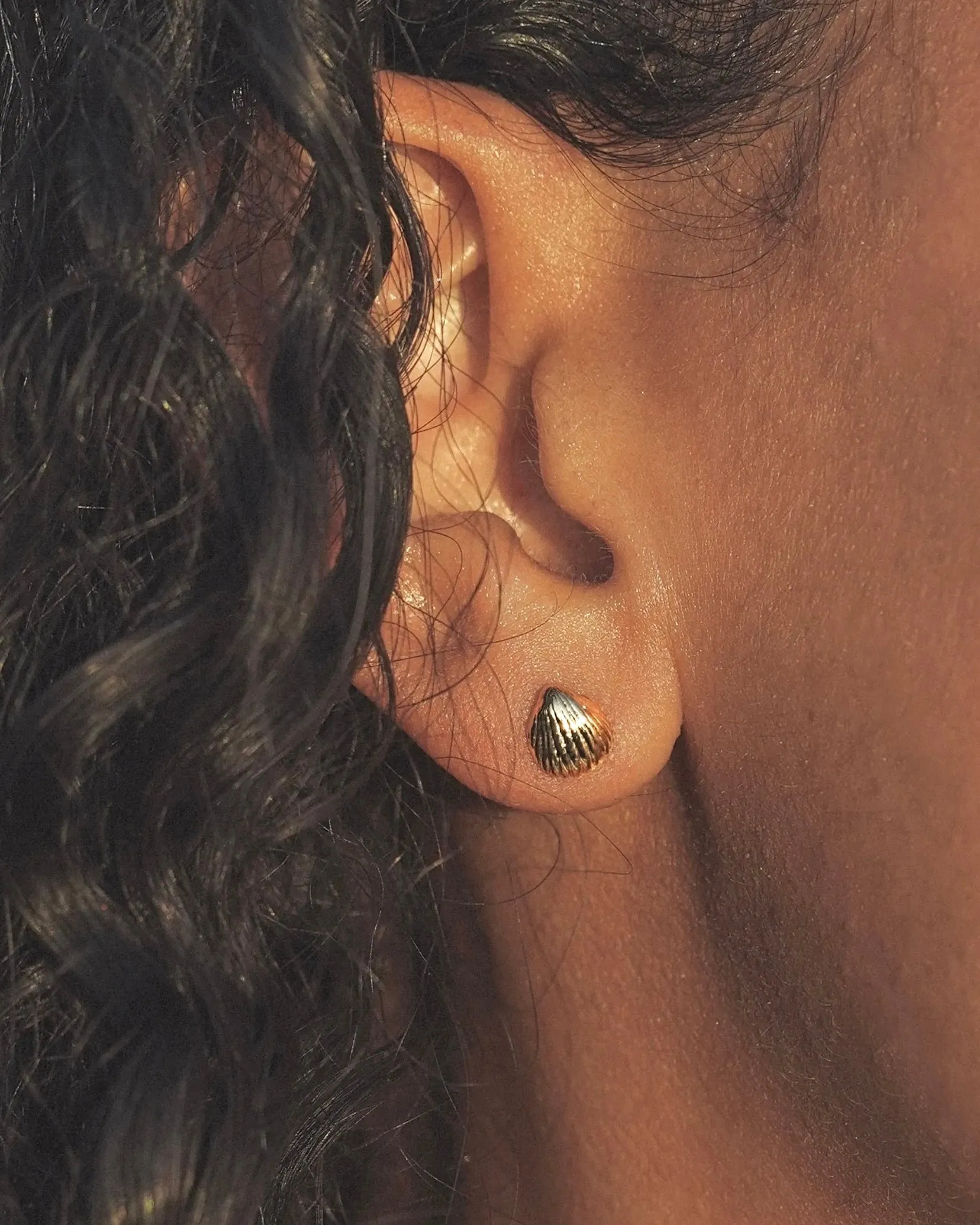 Shell Studs